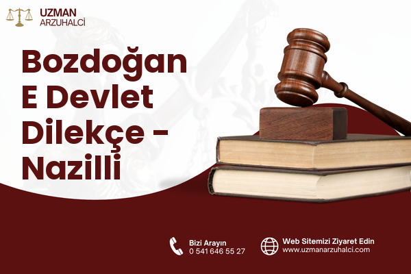 Bozdoğan E Devlet Dilekçe - Nazilli