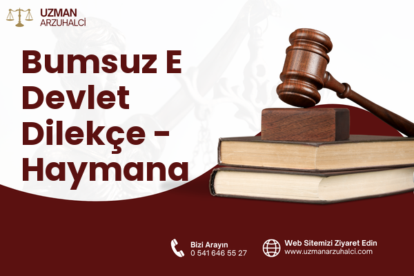 Bumsuz E Devlet Dilekçe - Haymana