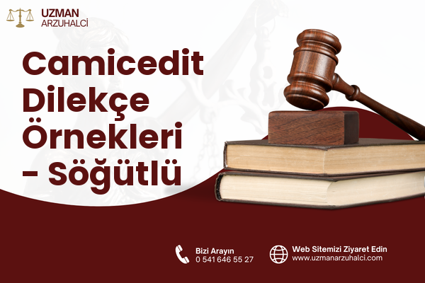 Camicedit Dilekçe Örnekleri - Söğütlü