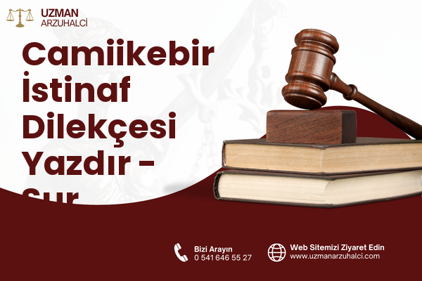 Camiikebir İstinaf Dilekçesi Yazdır - Sur