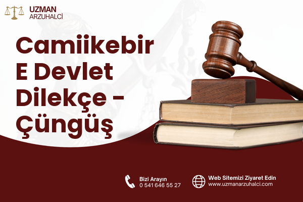 Camiikebir E Devlet Dilekçe - Çüngüş