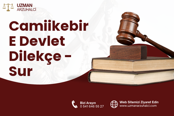 Camiikebir E Devlet Dilekçe - Sur