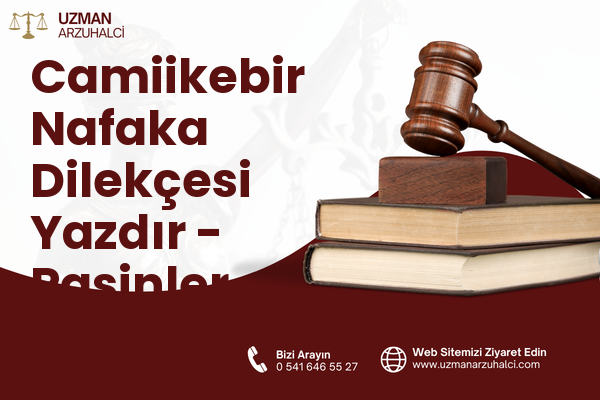 Camiikebir Nafaka Dilekçesi Yazdır - Pasinler