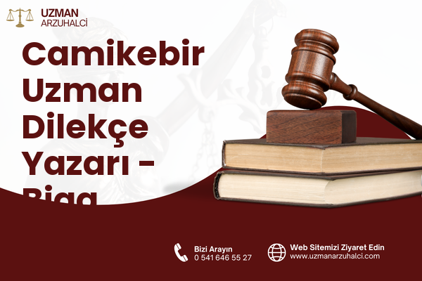 Camikebir Uzman Dilekçe Yazarı - Biga