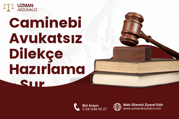 Caminebi Avukatsız Dilekçe Hazırlama - Sur