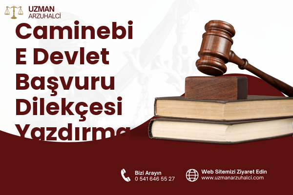 Caminebi E Devlet Başvuru Dilekçesi Yazdırma - Sur