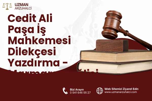 Cedit Ali Paşa İş Mahkemesi Dilekçesi Yazdırma - Marmaraereğlisi