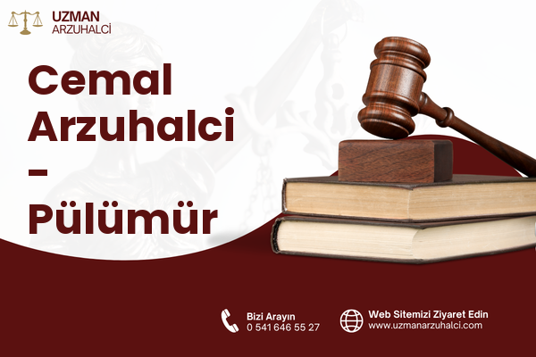 Cemal Arzuhalci - Pülümür