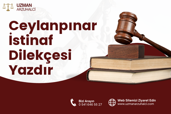 Ceylanpınar İstinaf Dilekçesi Yazdır