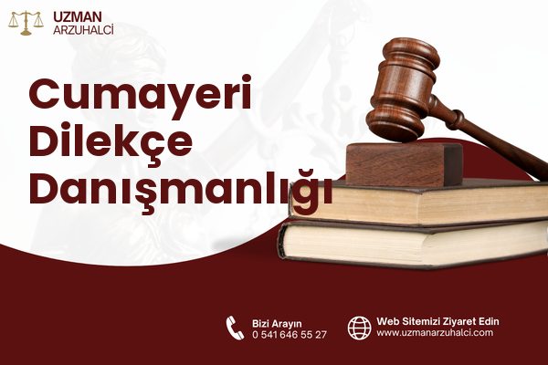 Cumayeri Dilekçe Danışmanlığı