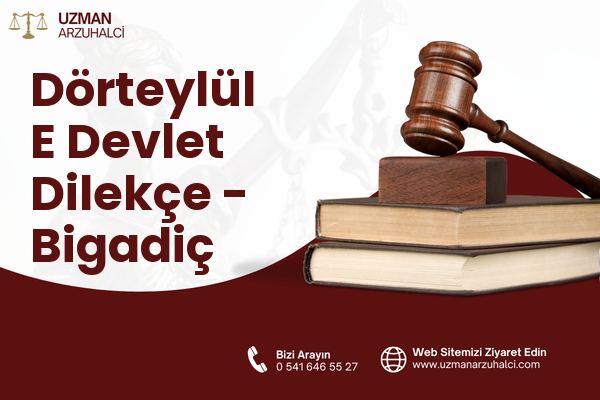 Dörteylül E Devlet Dilekçe - Bigadiç