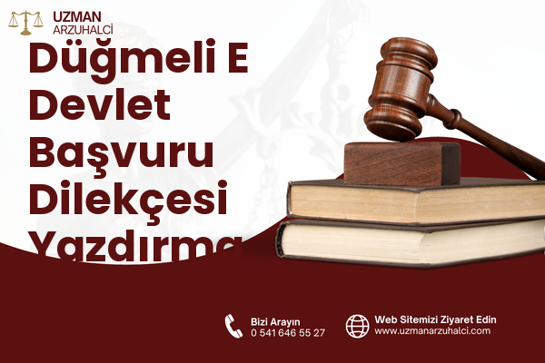 Düğmeli E Devlet Başvuru Dilekçesi Yazdırma - Akseki