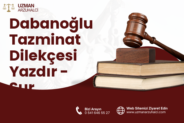 Dabanoğlu Tazminat Dilekçesi Yazdır - Sur
