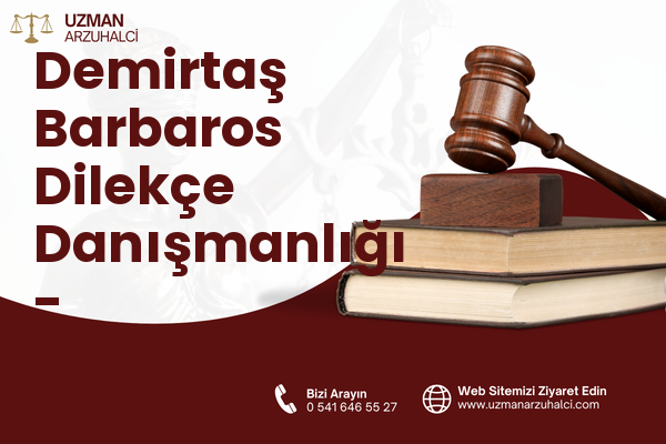 Demirtaş Barbaros Dilekçe Danışmanlığı - Osmangazi
