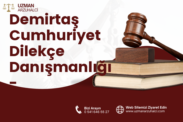 Demirtaş Cumhuriyet Dilekçe Danışmanlığı - Osmangazi