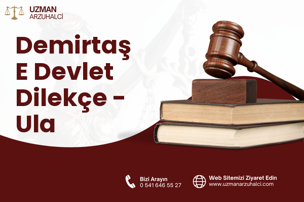 Demirtaş E Devlet Dilekçe - Ula