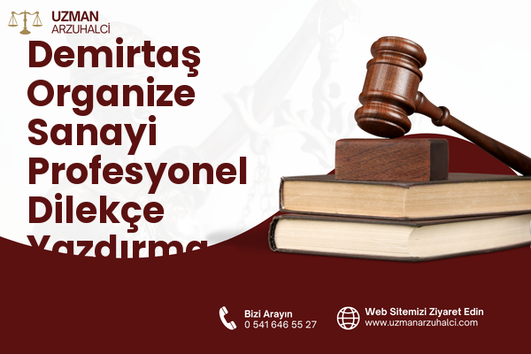 Demirtaş Organize Sanayi Profesyonel Dilekçe Yazdırma - Osmangazi