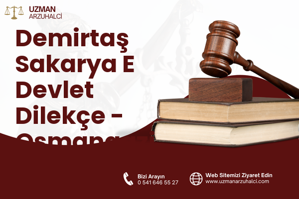 Demirtaş Sakarya E Devlet Dilekçe - Osmangazi