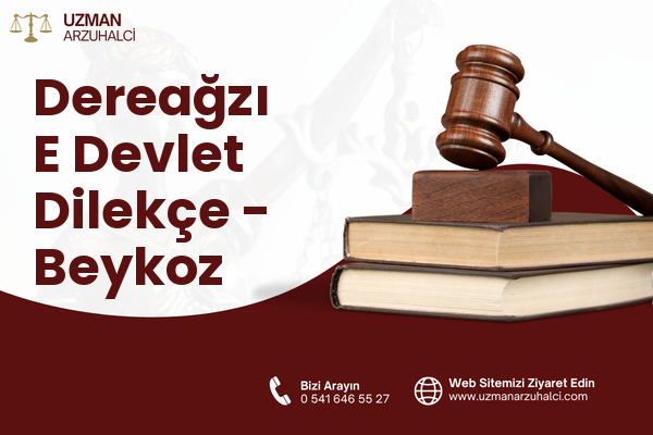 Dereağzı E Devlet Dilekçe - Beykoz