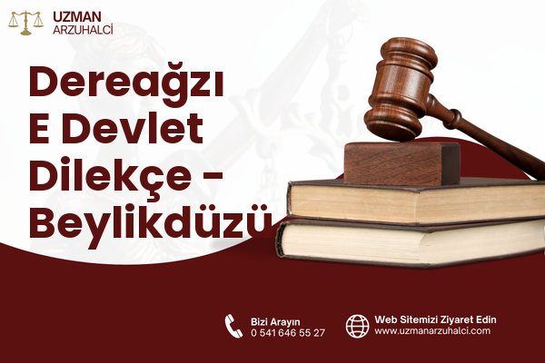 Dereağzı E Devlet Dilekçe - Beylikdüzü