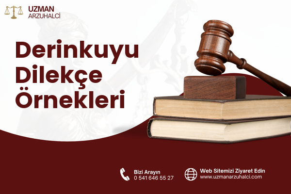 Derinkuyu Dilekçe Örnekleri