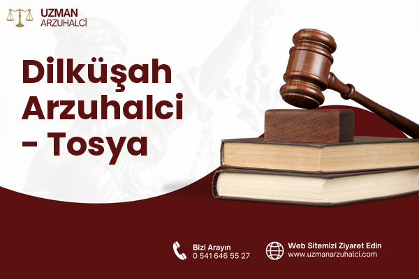 Dilküşah Arzuhalci - Tosya