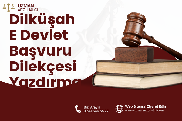 Dilküşah E Devlet Başvuru Dilekçesi Yazdırma - Tosya