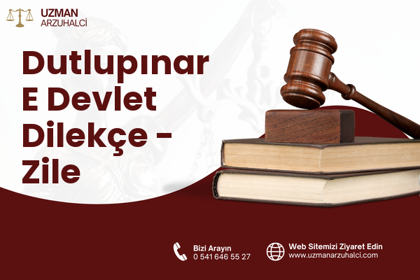 Dutlupınar E Devlet Dilekçe - Zile