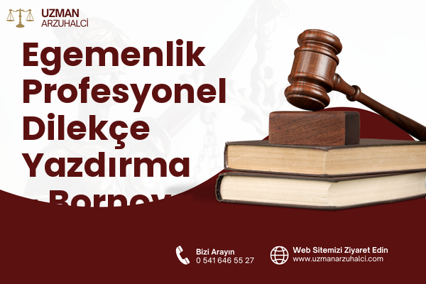 Egemenlik Profesyonel Dilekçe Yazdırma - Bornova