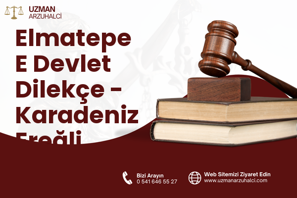 Elmatepe E Devlet Dilekçe - Karadeniz Ereğli