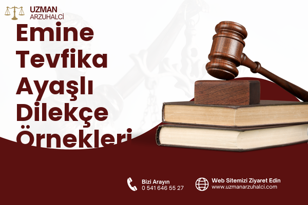 Emine Tevfika Ayaşlı Dilekçe Örnekleri - Ayaş