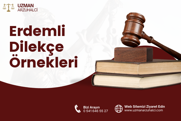 Erdemli Dilekçe Örnekleri