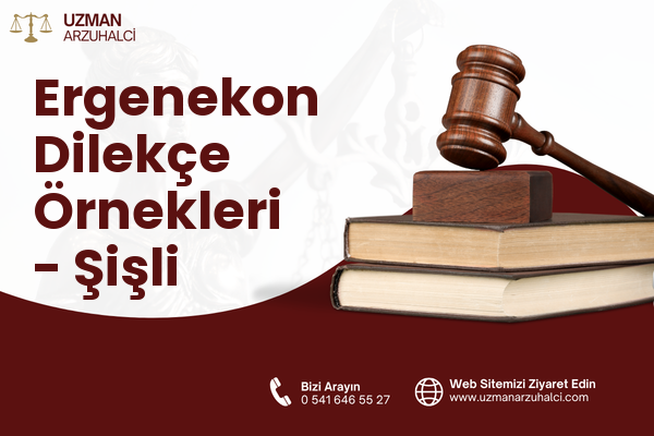 Ergenekon Dilekçe Örnekleri - Şişli