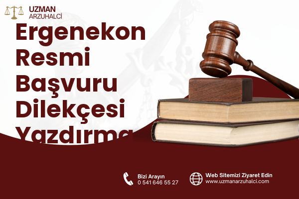 Ergenekon Resmi Başvuru Dilekçesi Yazdırma - Gediz