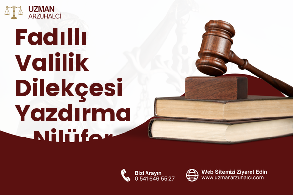 Fadıllı Valilik Dilekçesi Yazdırma - Nilüfer
