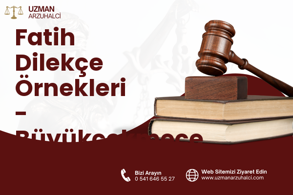 Fatih Dilekçe Örnekleri - Büyükçekmece