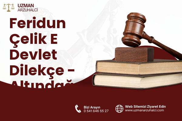 Feridun Çelik E Devlet Dilekçe - Altındağ