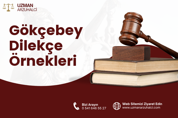 Gökçebey Dilekçe Örnekleri