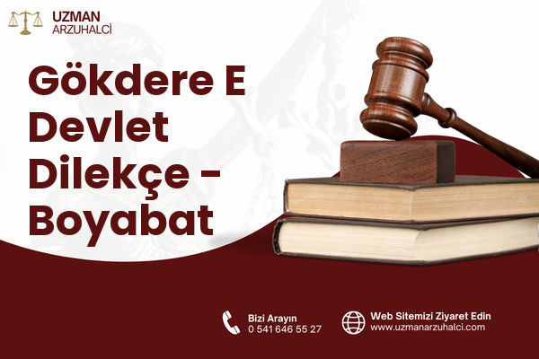 Gökdere E Devlet Dilekçe - Boyabat