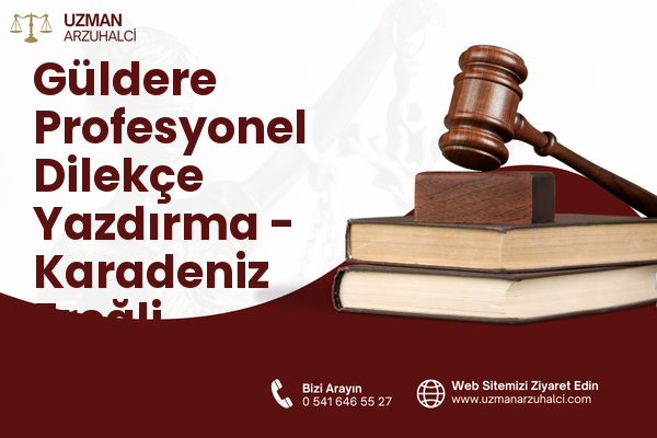 Güldere Profesyonel Dilekçe Yazdırma - Karadeniz Ereğli