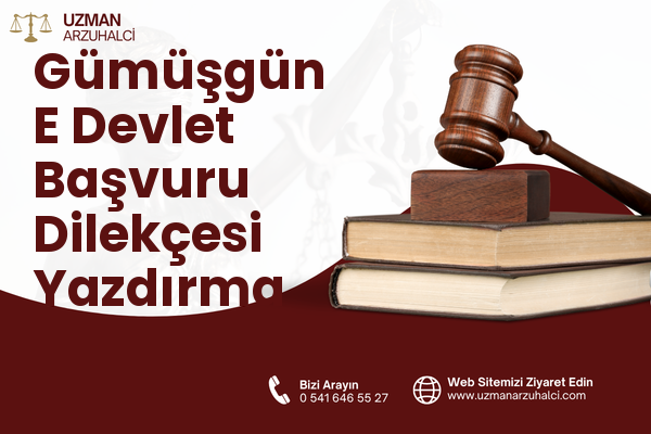 Gümüşgün E Devlet Başvuru Dilekçesi Yazdırma - Uluborlu