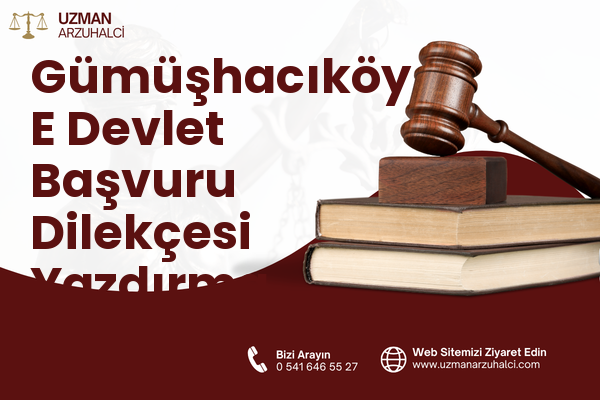 Gümüşhacıköy E Devlet Başvuru Dilekçesi Yazdırma