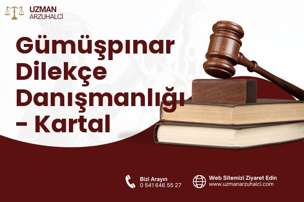 Gümüşpınar Dilekçe Danışmanlığı - Kartal