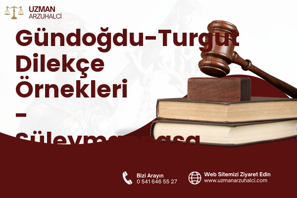 Gündoğdu-Turgut Dilekçe Örnekleri - Süleymanpaşa