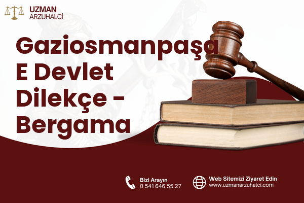 Gaziosmanpaşa E Devlet Dilekçe - Bergama