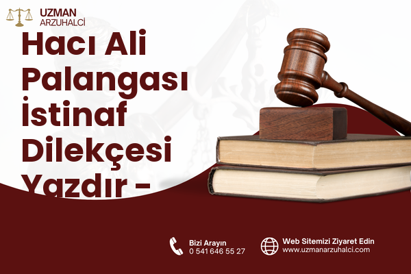 Hacı Ali Palangası İstinaf Dilekçesi Yazdır - Merkez