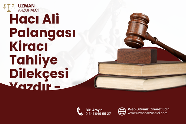 Hacı Ali Palangası Kiracı Tahliye Dilekçesi Yazdır - Merkez