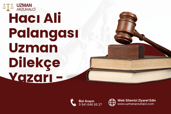 Hacı Ali Palangası Uzman Dilekçe Yazarı - Merkez