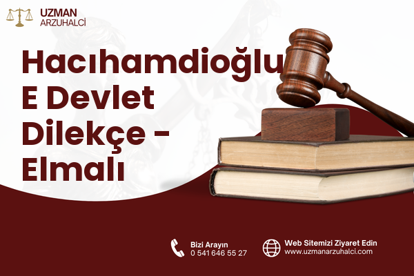 Hacıhamdioğlu E Devlet Dilekçe - Elmalı