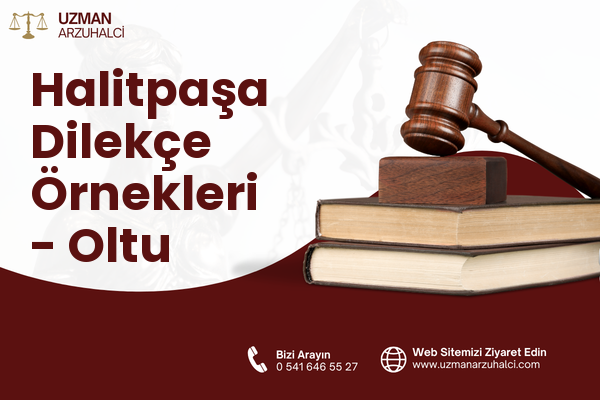 Halitpaşa Dilekçe Örnekleri - Oltu